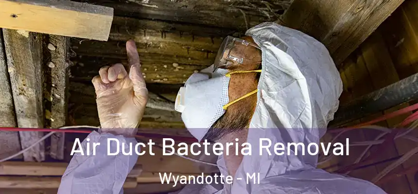  Air Duct Bacteria Removal Wyandotte - MI