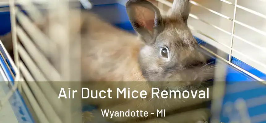 Air Duct Mice Removal Wyandotte - MI