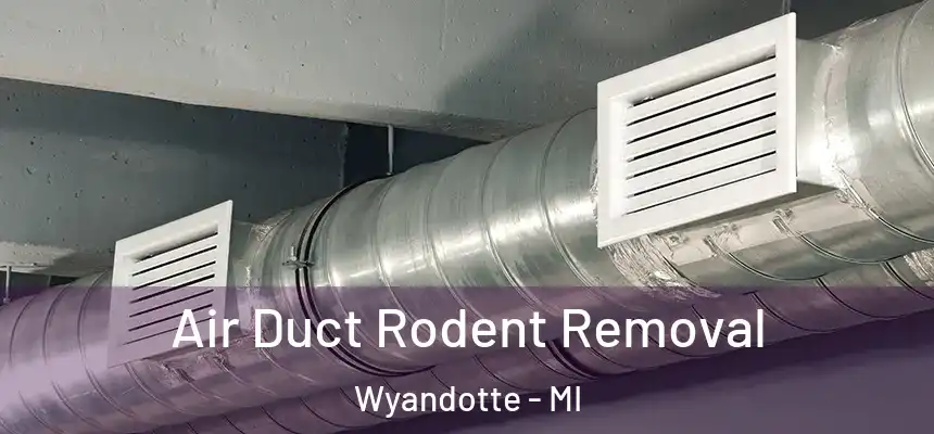  Air Duct Rodent Removal Wyandotte - MI