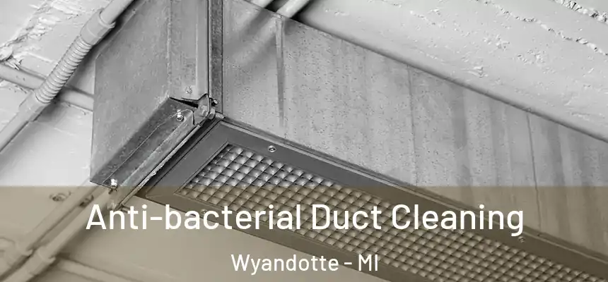 Anti-bacterial Duct Cleaning Wyandotte - MI