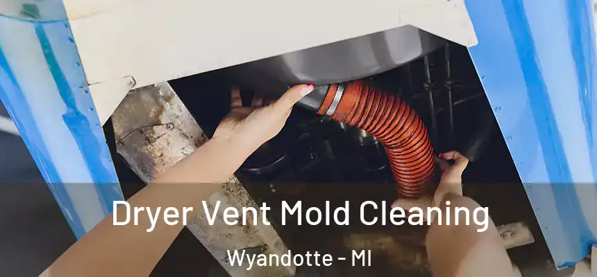  Dryer Vent Mold Cleaning Wyandotte - MI