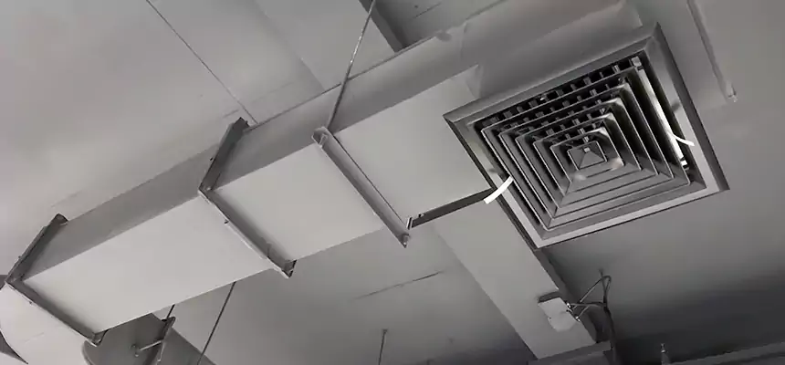 Restorative Allergy Relief Vent Cleaning – Coil, Blower & Housing Detail in Wyandotte