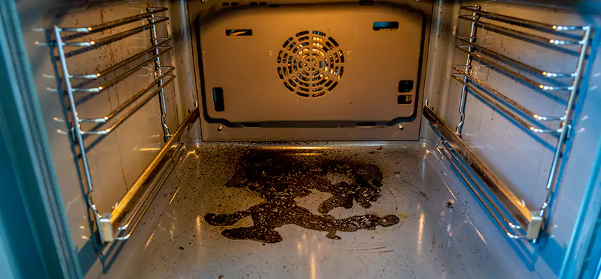 Our Dryer Vent Mold Cleaning Services in Wyandotte, MI