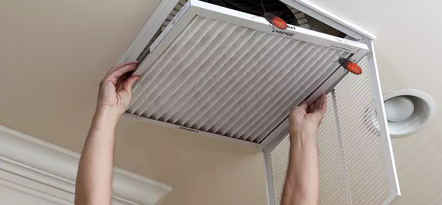 Our Insect Removal from Air Ducts Services in Wyandotte, MI