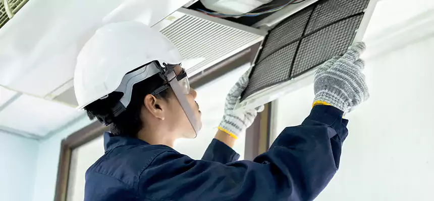 Our Mold & Mildew Removal from Air Ducts Services in Wyandotte, MI