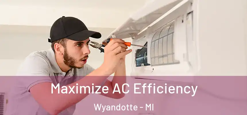 Maximize AC Efficiency Wyandotte - MI
