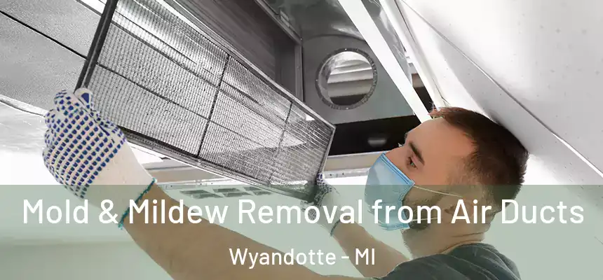  Mold & Mildew Removal from Air Ducts Wyandotte - MI
