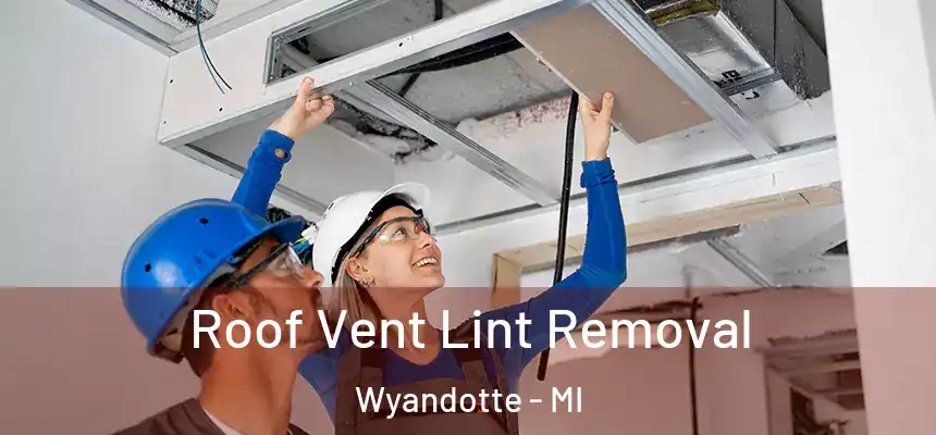Roof Vent Lint Removal Wyandotte - MI
