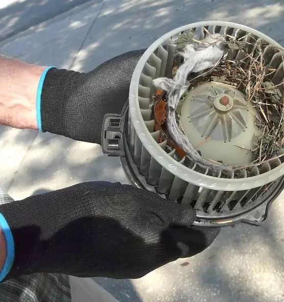 About Air Duct Mice Removal in Wyandotte, MI