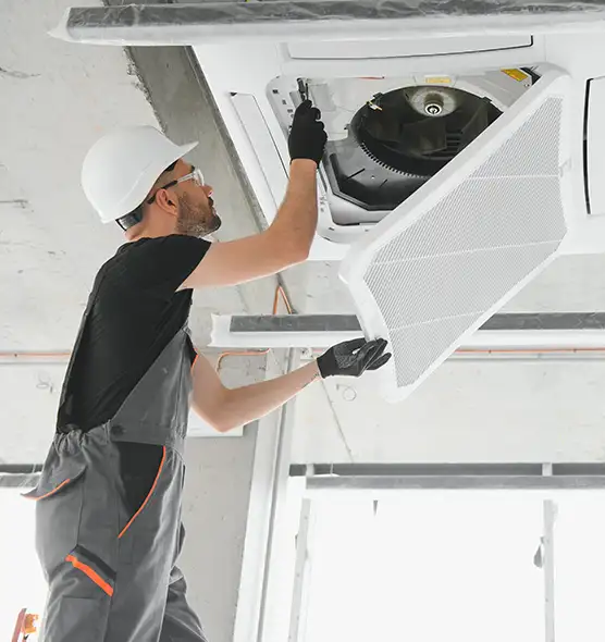 About Air Duct Rodent Removal in Wyandotte, MI