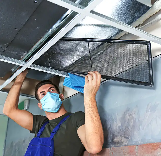 Why Homeowners & Businesses Trust Us in Wyandotte, MI?