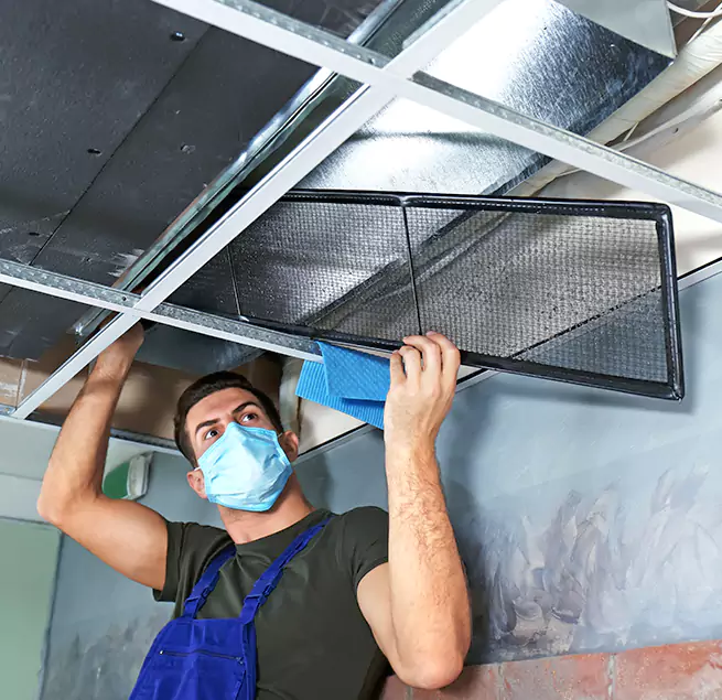 Why Homeowners & Businesses Trust Us in Wyandotte, MI?