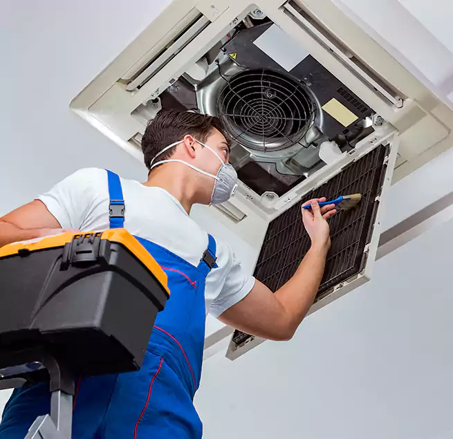 Why Homeowners & Businesses Trust Us in Wyandotte, MI?